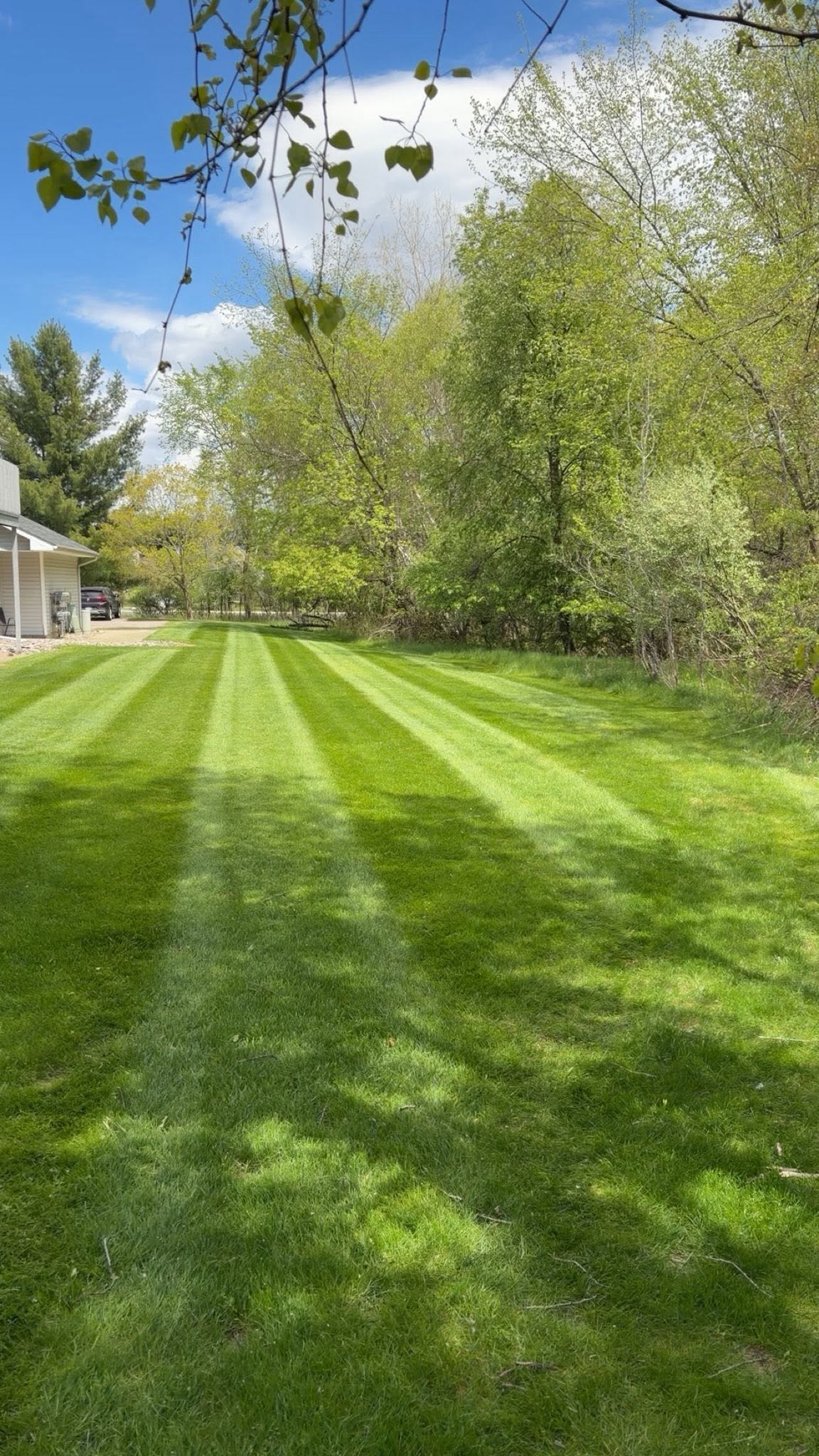 Lawn care work