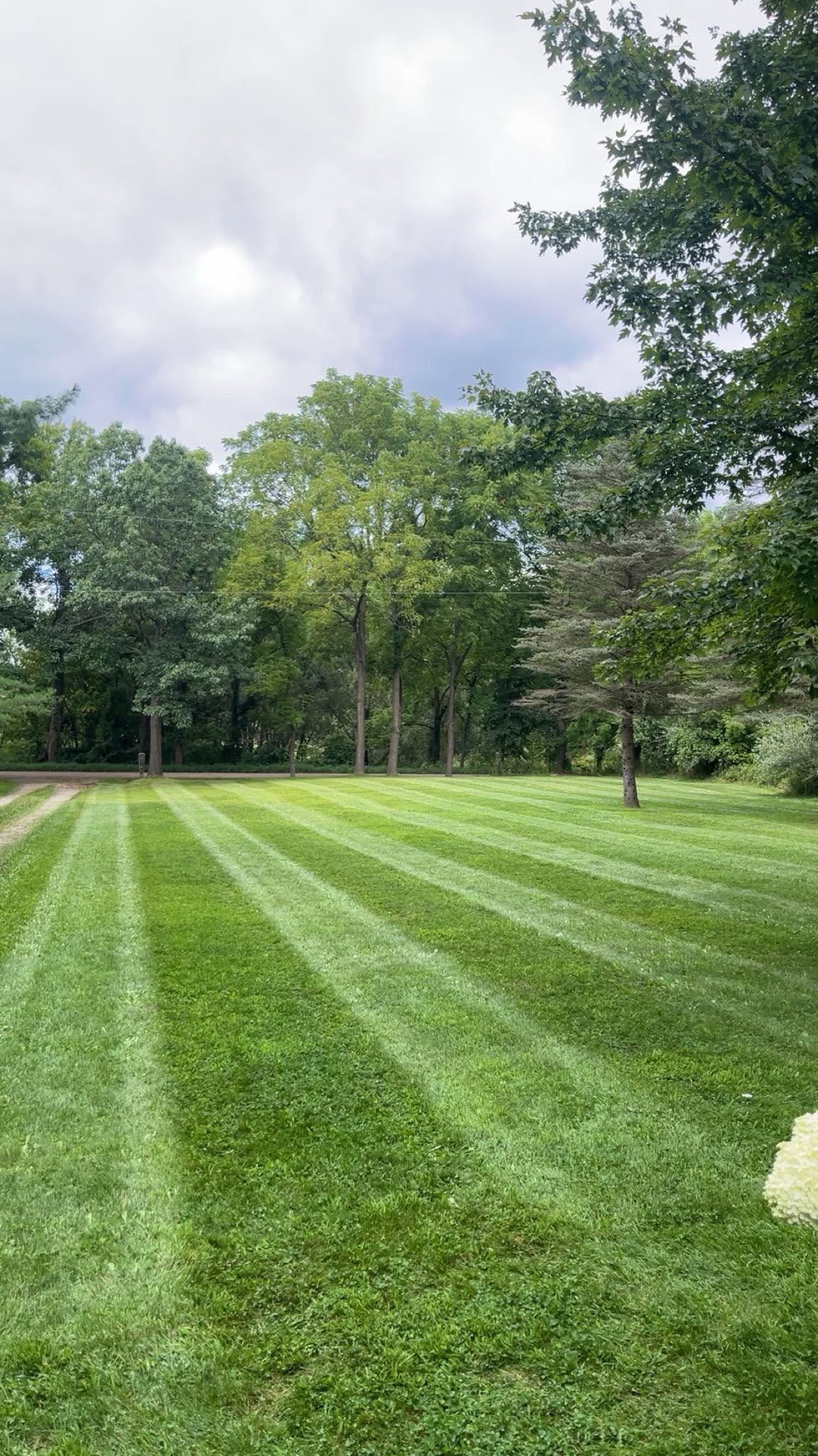 Lawn care work