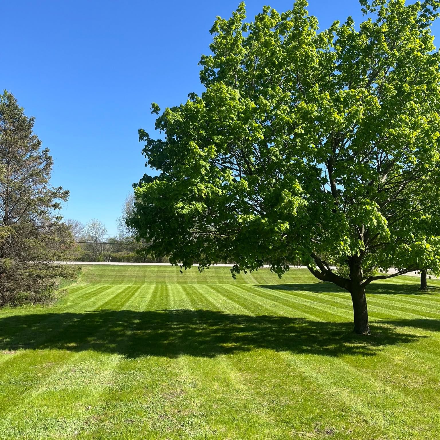 Lawn care work