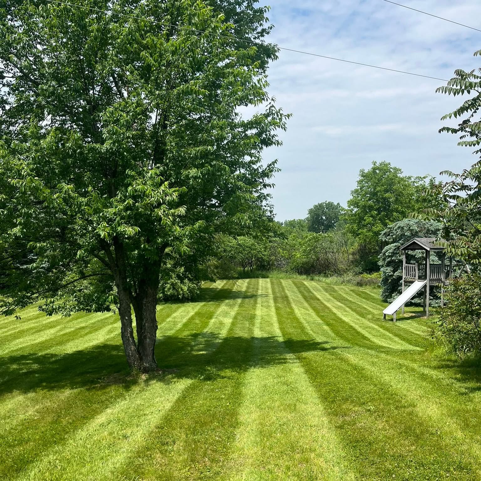 Lawn care work
