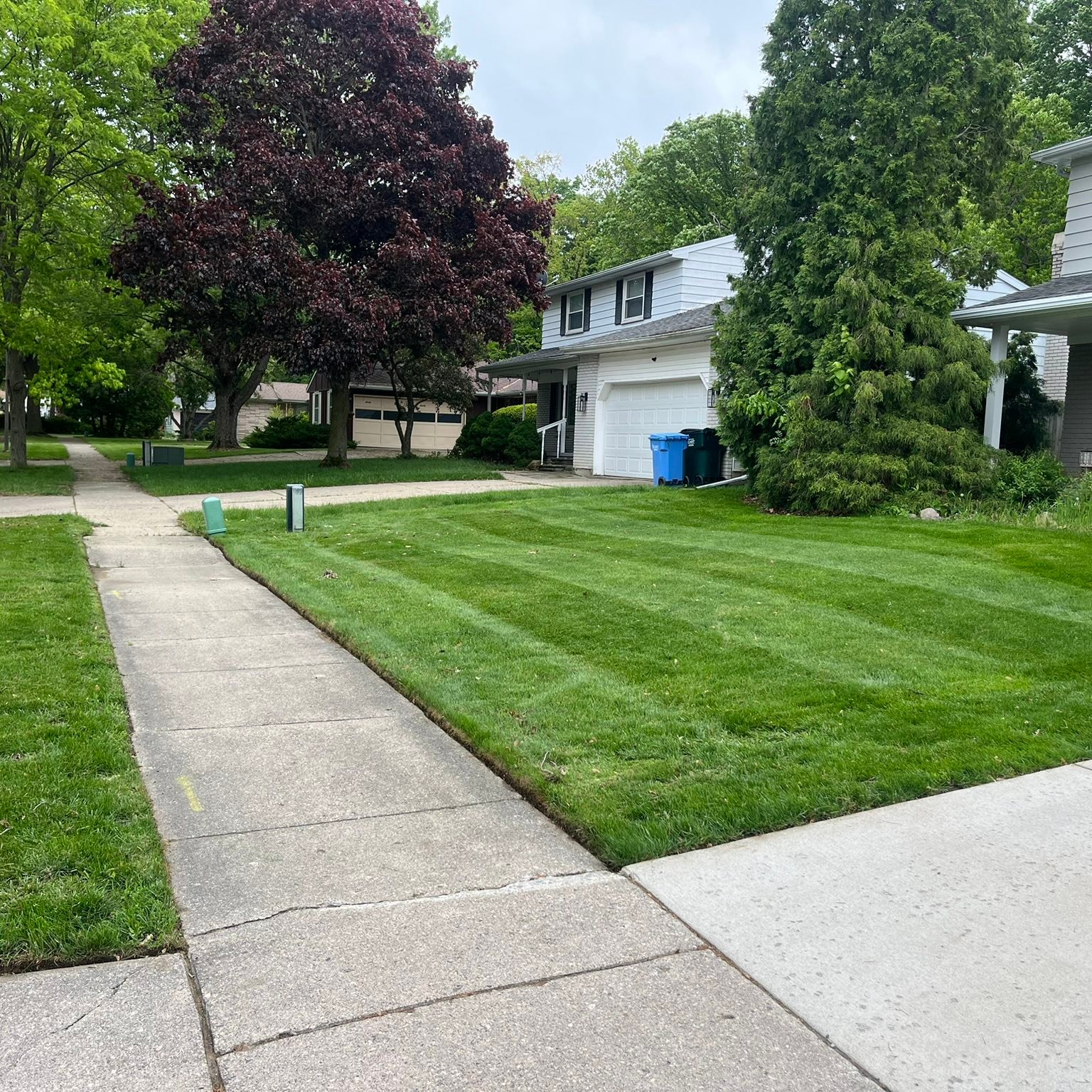 Lawn care work