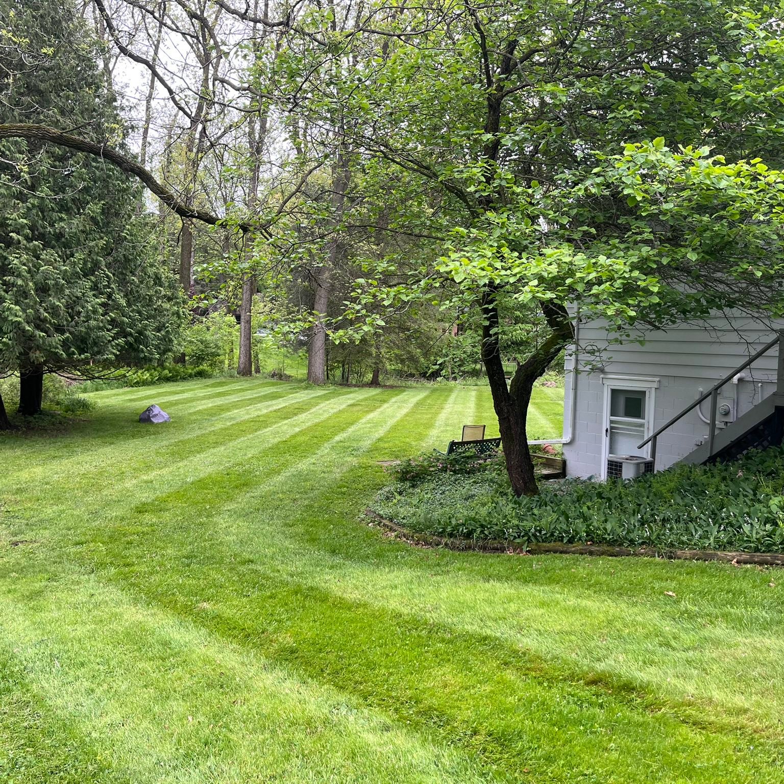 Lawn care work
