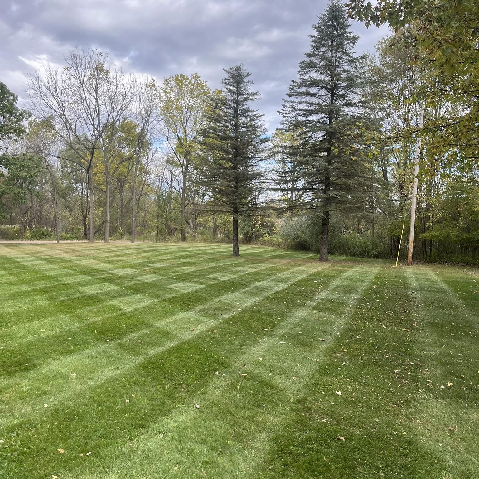 Lawn care work