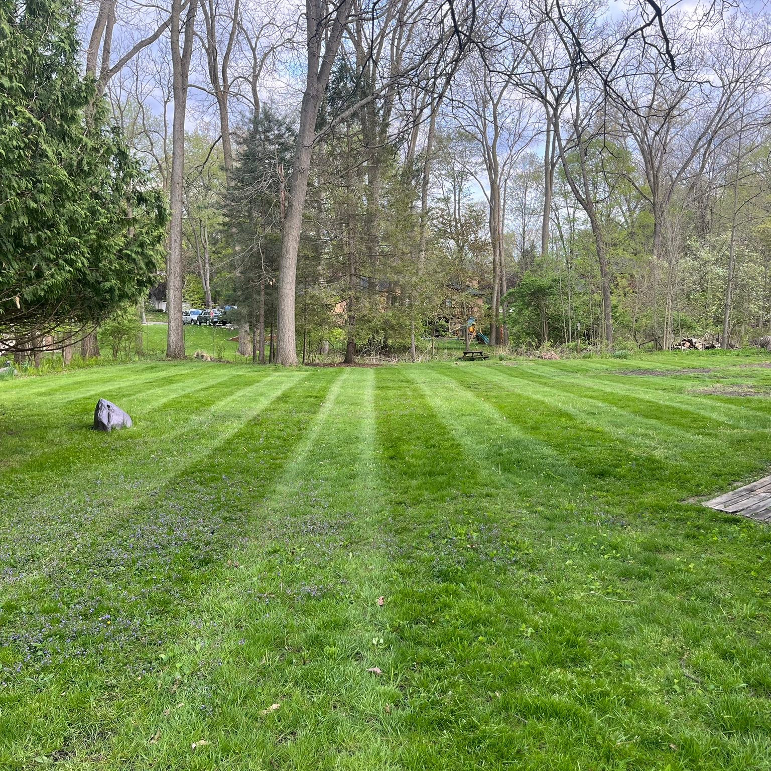 Lawn care work