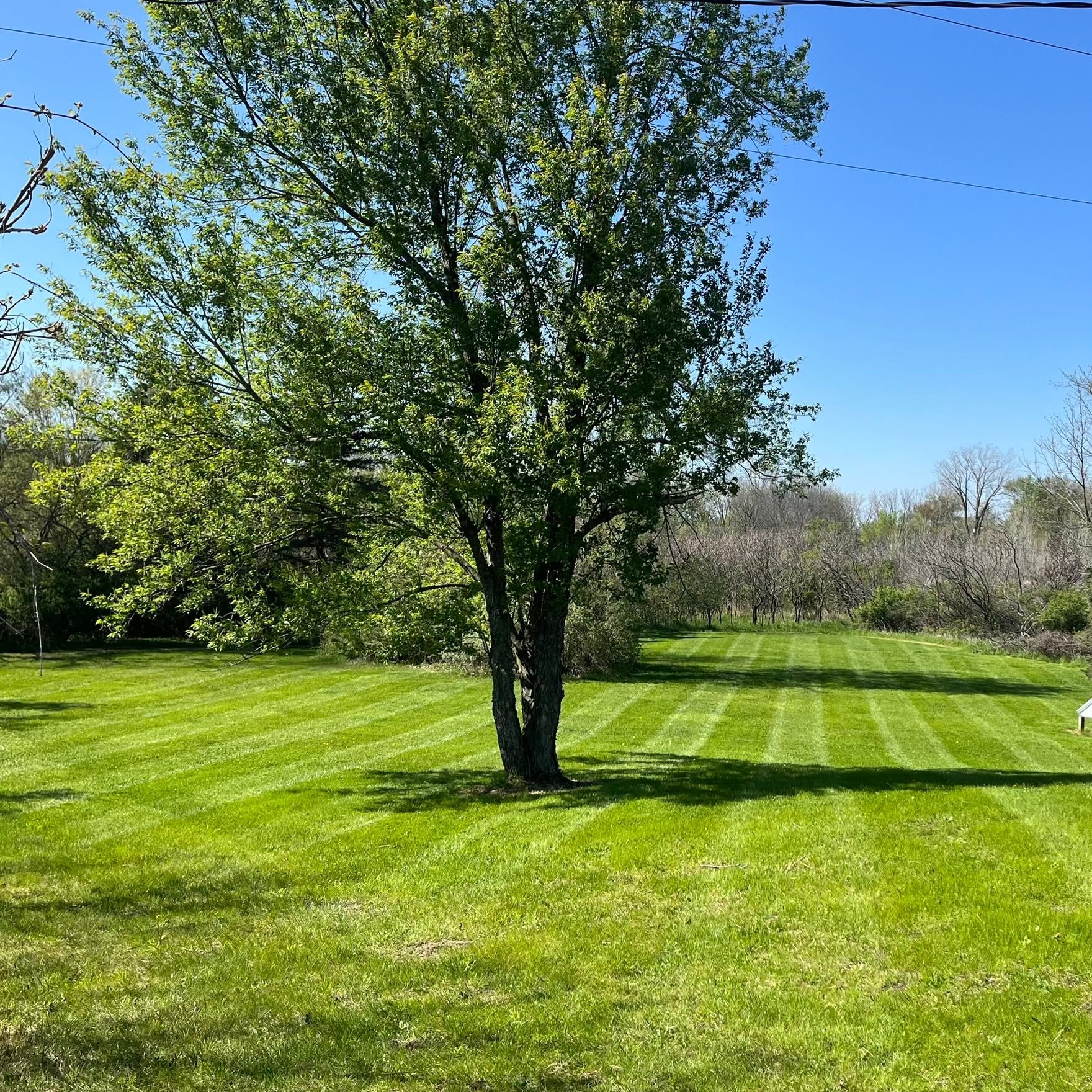 Lawn care work