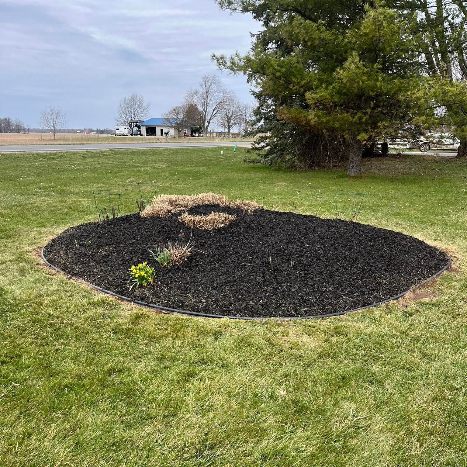 Lawn care work