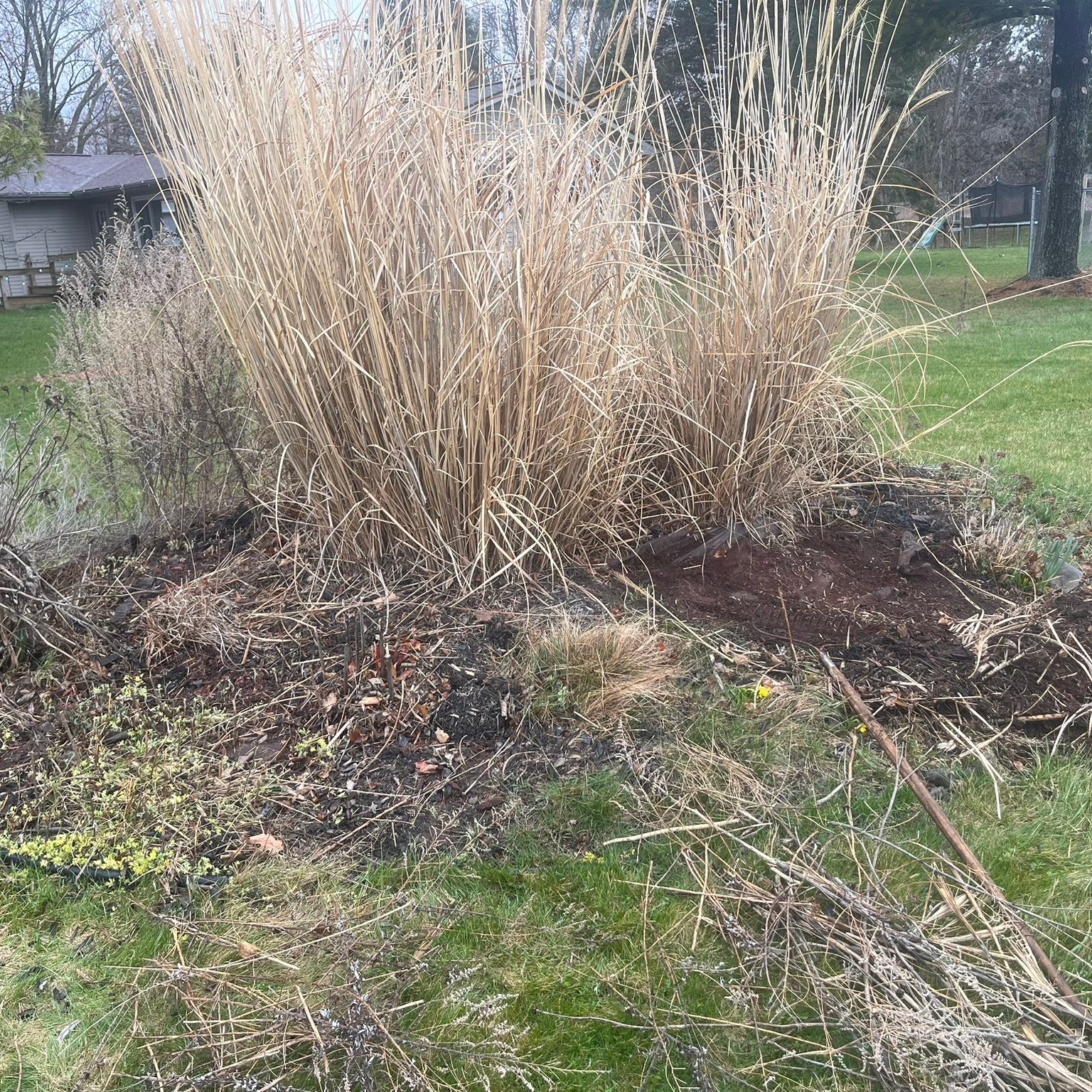 Lawn care work