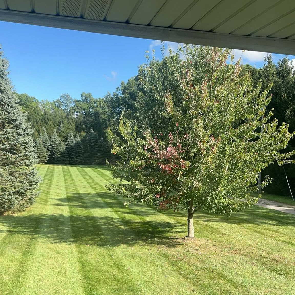 Lawn care work