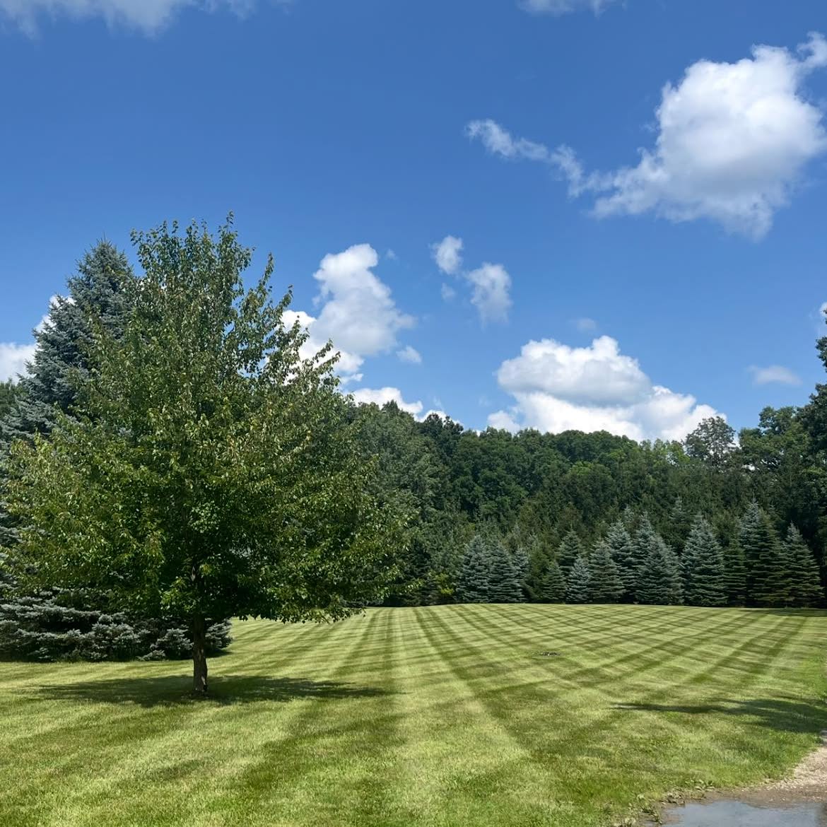 Lawn care work