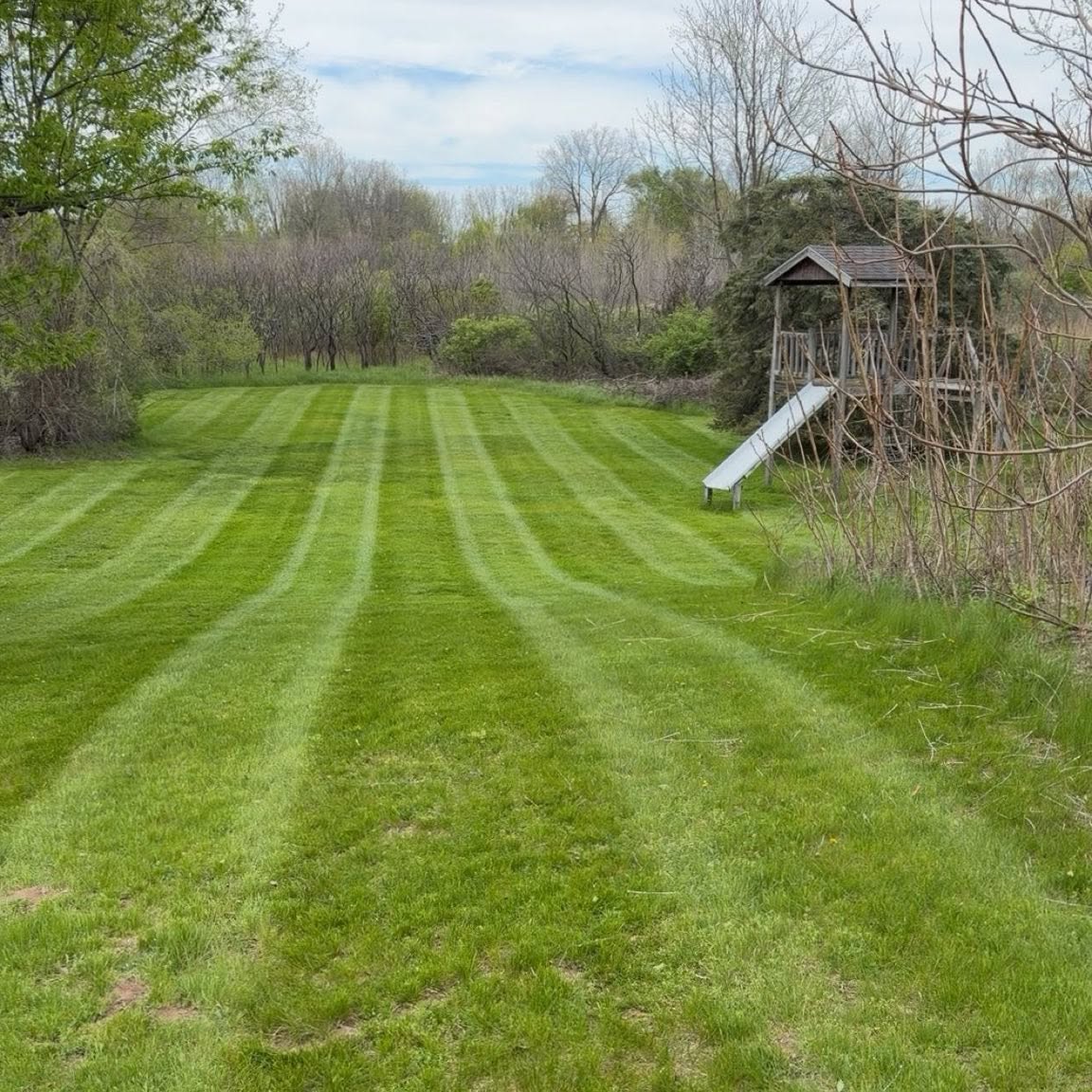 Lawn care work